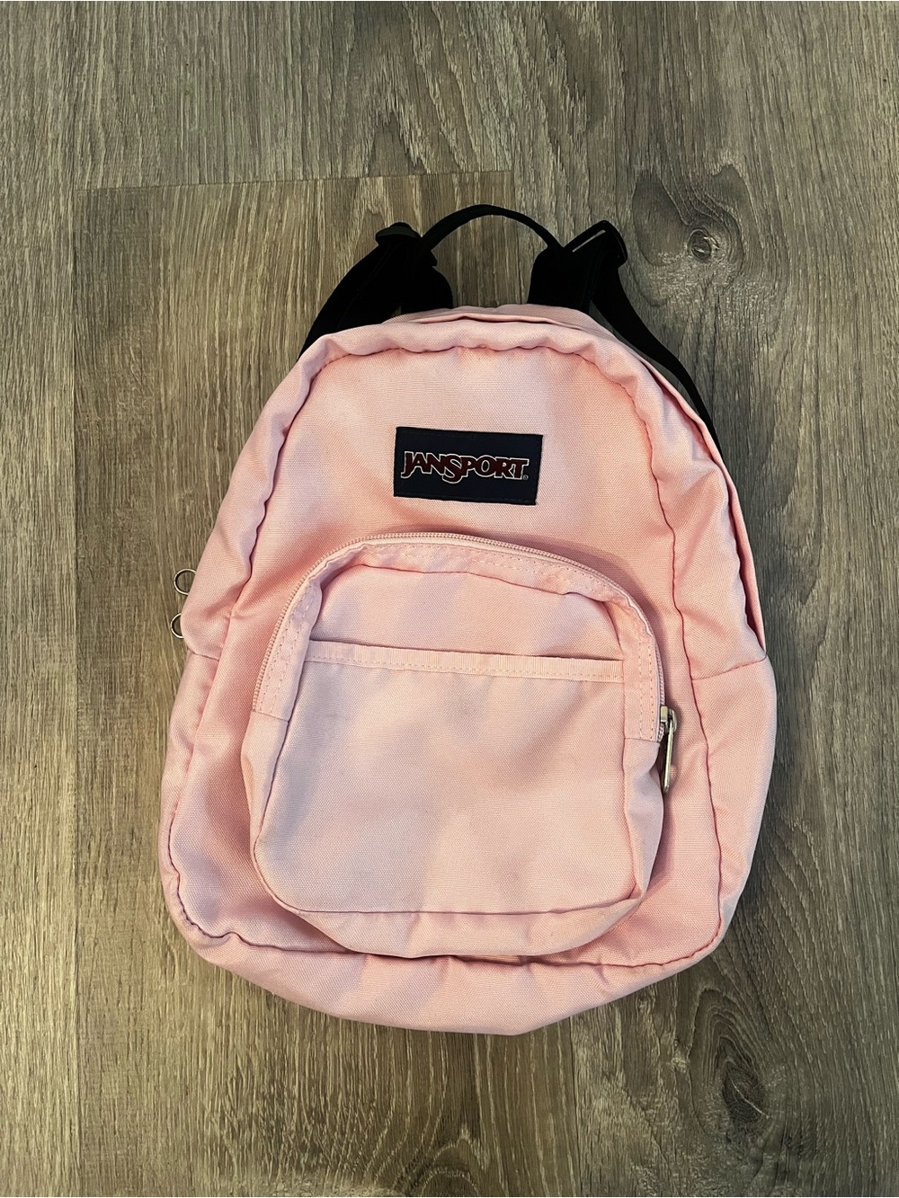 Jansport Mini Backpack in Light Pink